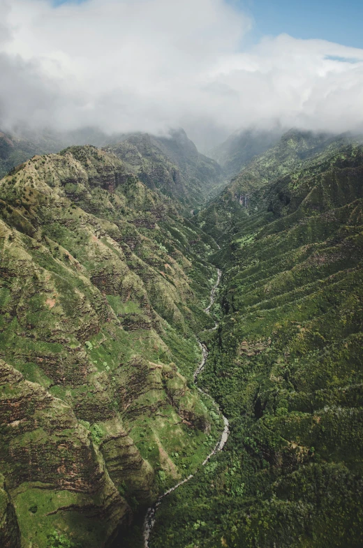 a lush green valley in the middle of a mountain