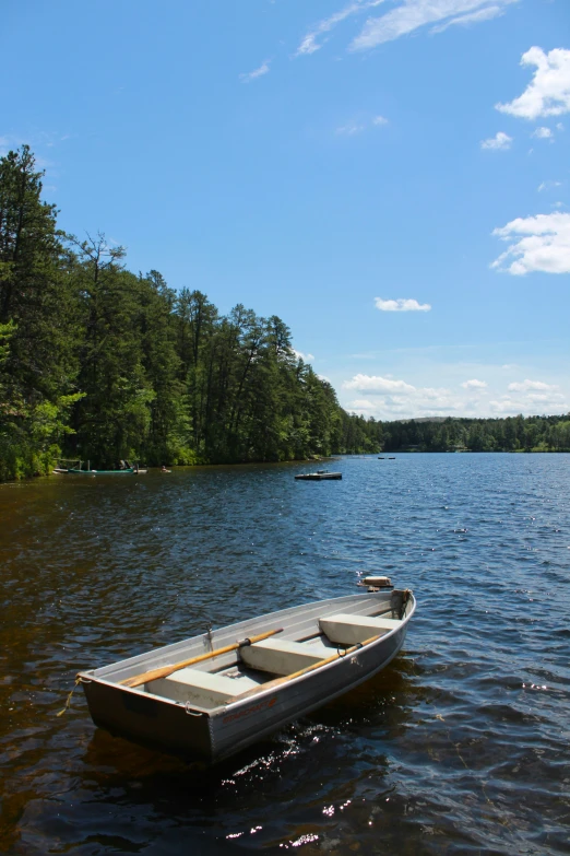 small row boat on calm waters in front of forested area