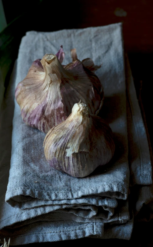 two heads of garlic sit atop linen on a table