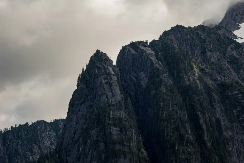 a bird is flying over a mountain range