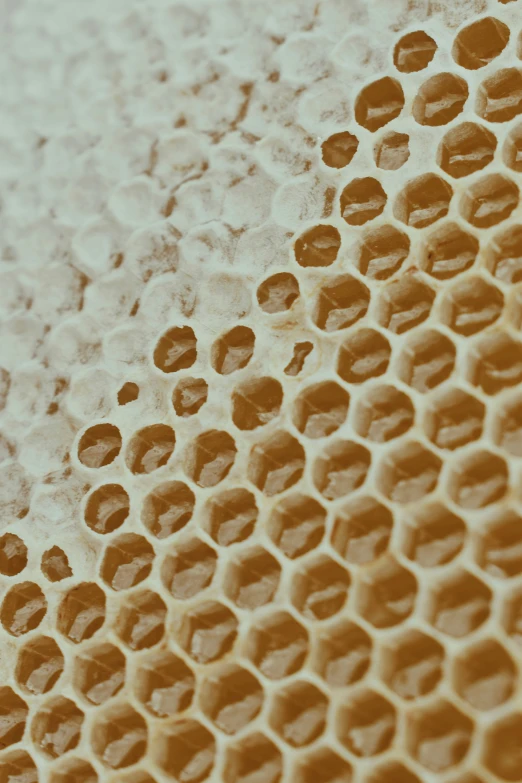 a honeycomb pattern made from honey bee cells