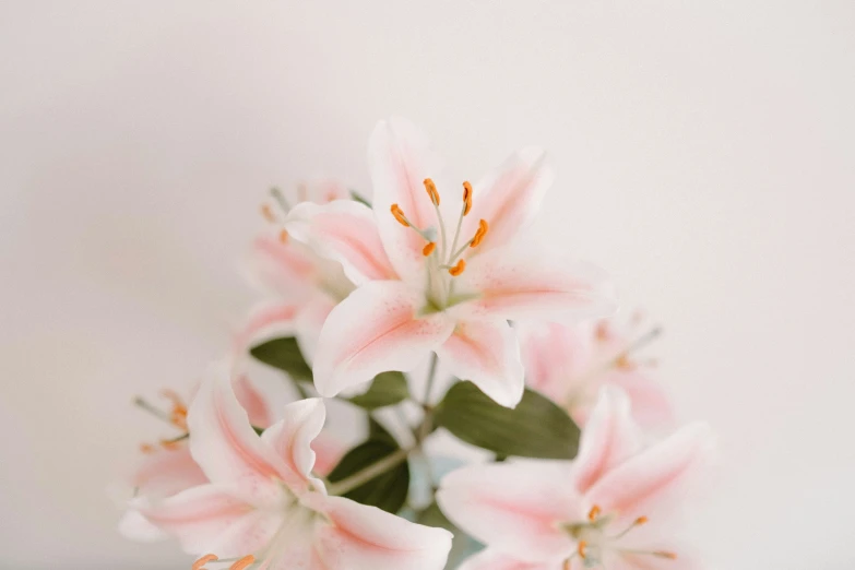 pink flowers are in a clear vase with greenery