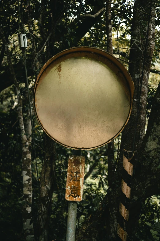 a rusted sign on a pole surrounded by trees