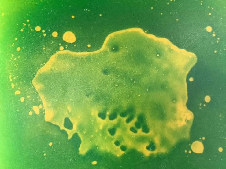 bubbles with green and yellow colored background