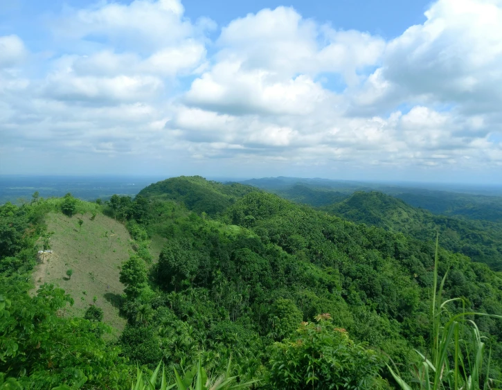 a lush green hillside sitting on top of a lush green forest