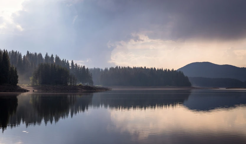 a view of some trees by water in the day