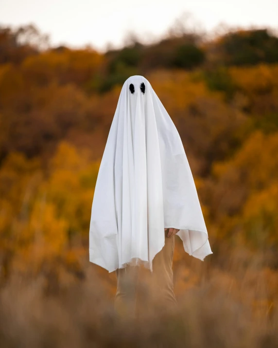 a ghost in a grassy field with trees