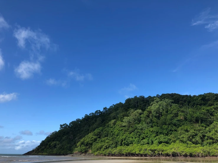 a beach with some trees and an ocean