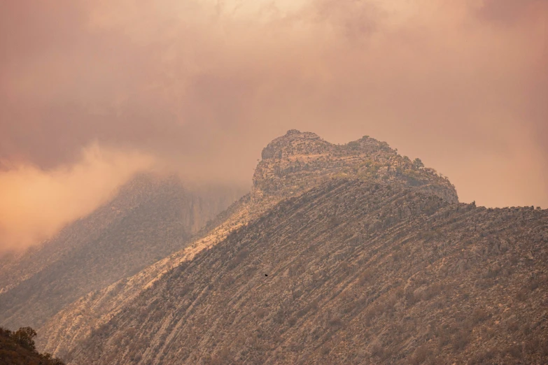 a mountain with a bunch of trees next to it