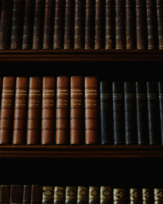 several books lined up on wooden shelves in a liry