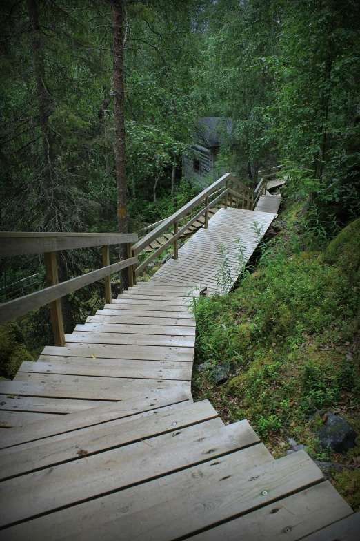 wooden staircase going up in a forest in a clearing