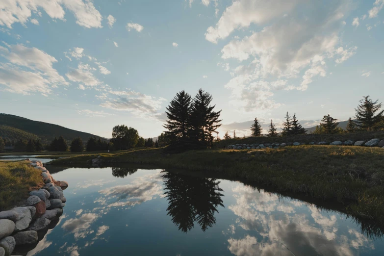 the lake is reflecting the trees as it sits