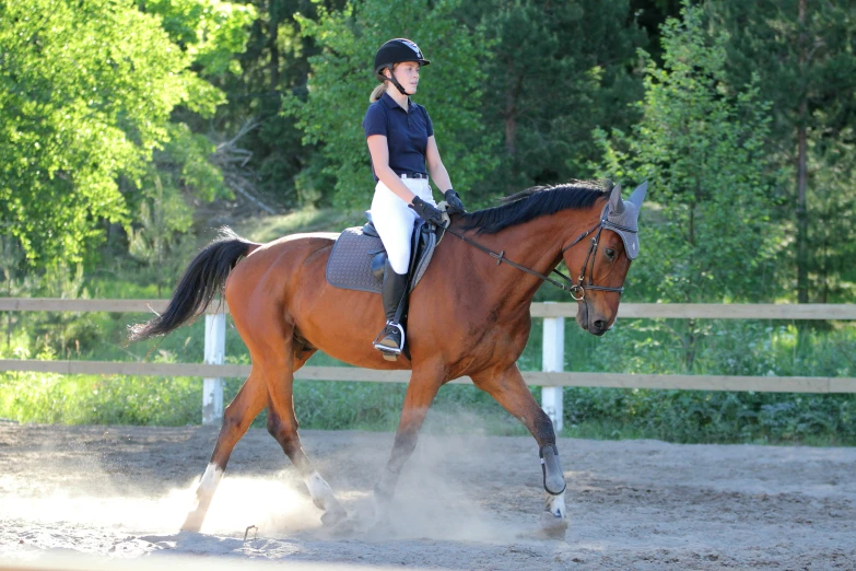 a person riding a horse on a dirt path