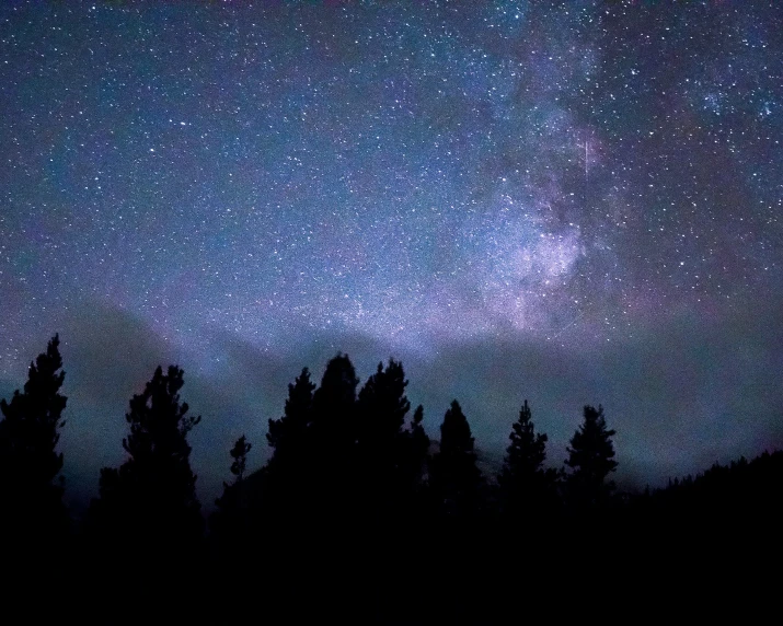 many trees are silhouetted against the night sky