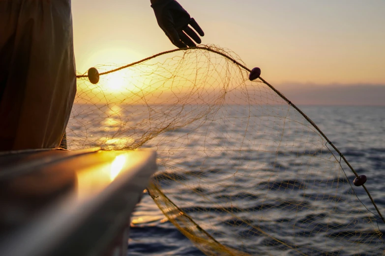 a bird perched on top of a net in the middle of the ocean