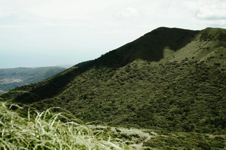 a green landscape shows an unpaved section of land