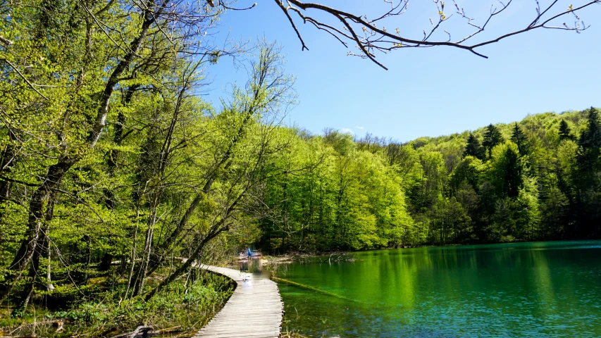 people are walking on a boardwalk next to a lake