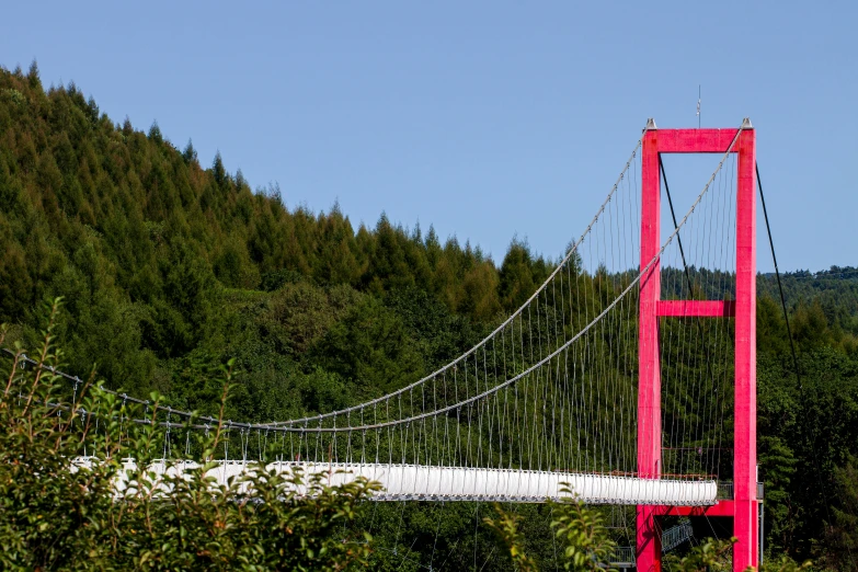 a red bridge near some tall trees and bushes