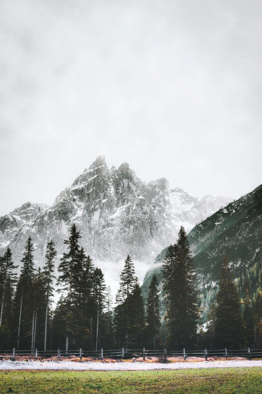 a snow covered mountain with trees in the foreground