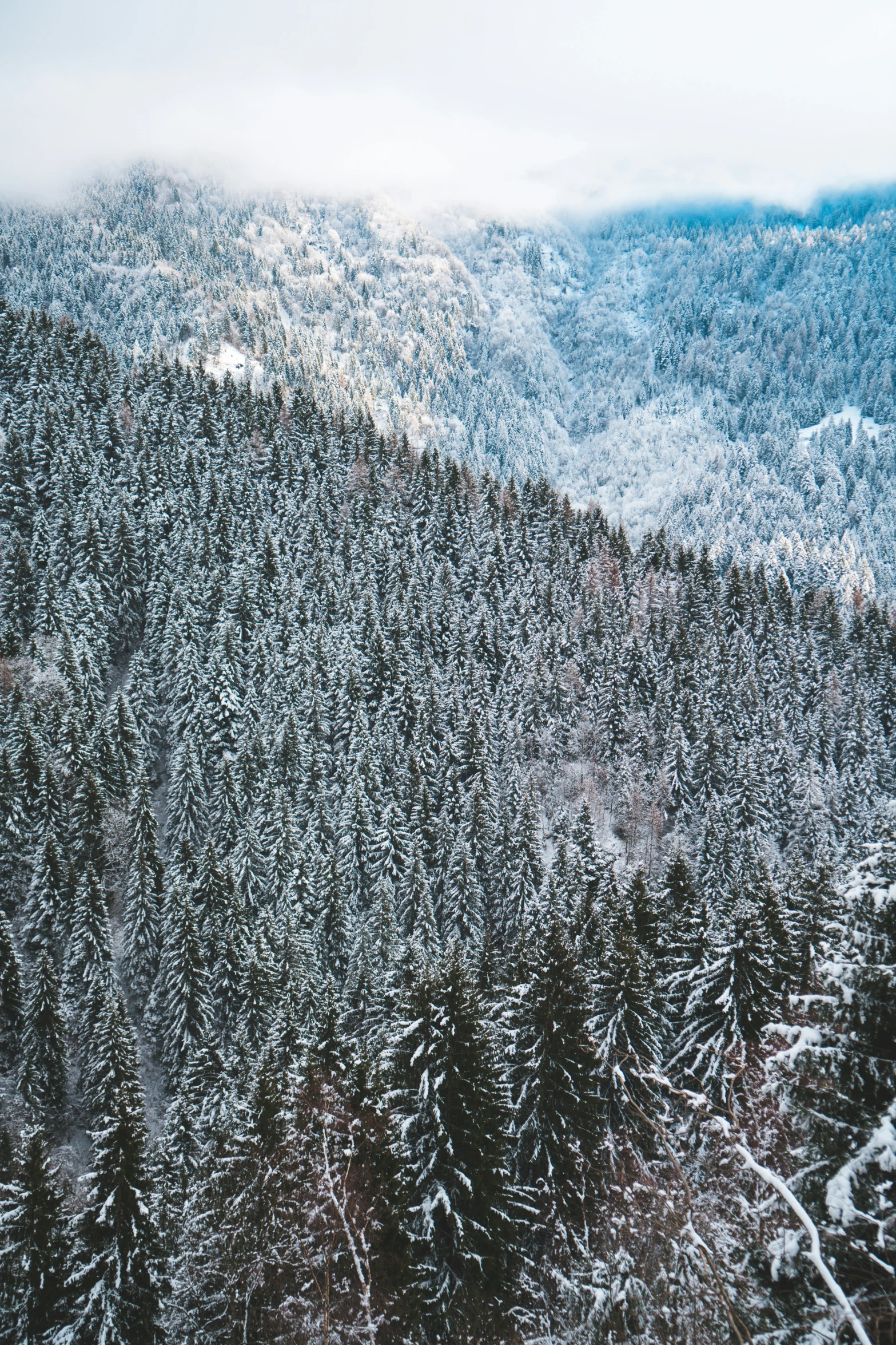 the view from above of snow covered mountains