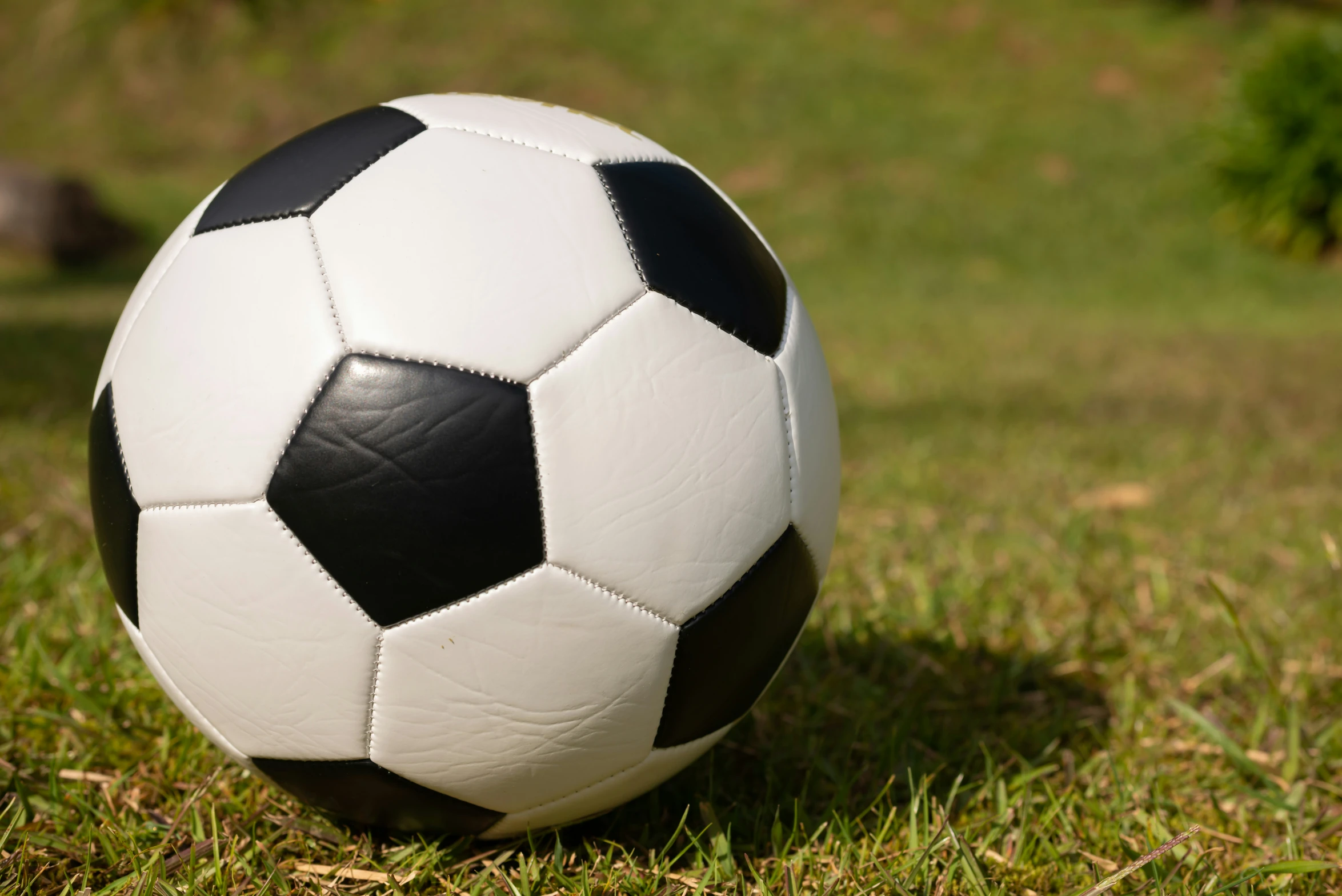 a soccer ball in the middle of grass