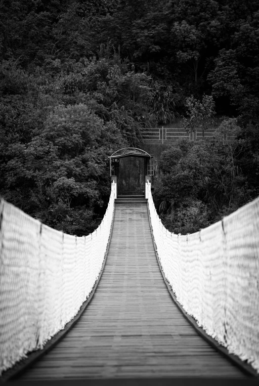 a view down a rope bridge of some sort