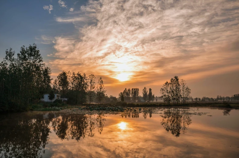 a lake surrounded by trees next to a field