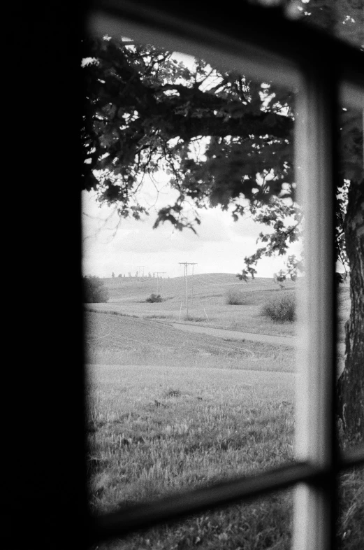 view out a window onto grass and fence