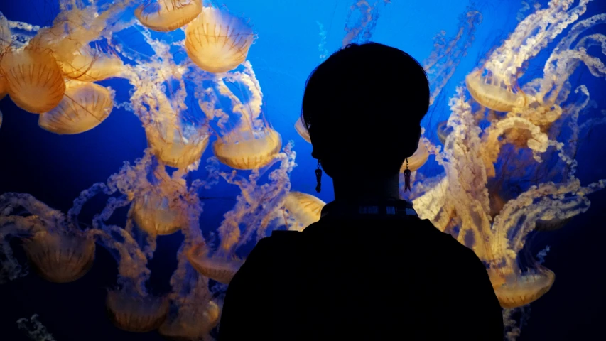 a man standing next to a wall covered with lots of jellyfish