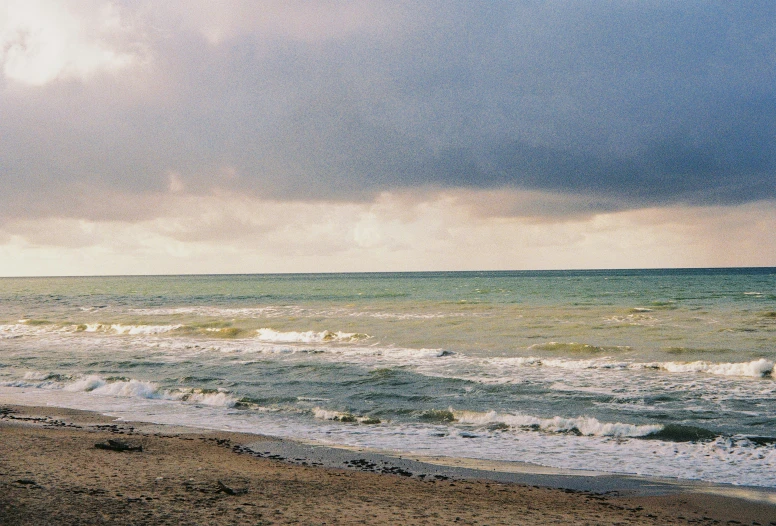 a person walking with an umbrella and dog on the beach