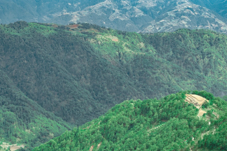 a forest filled with lush green hills surrounded by mountains