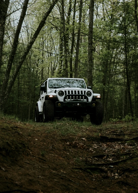 an off - road jeep sits in the forest by a tree