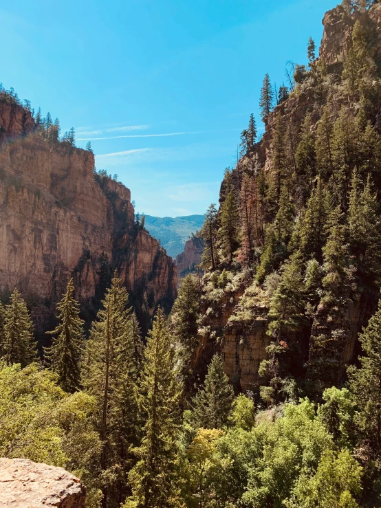 looking down at trees and mountains from the side