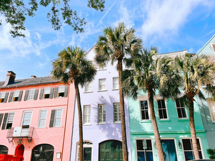 a city street lined with pastel buildings and palm trees