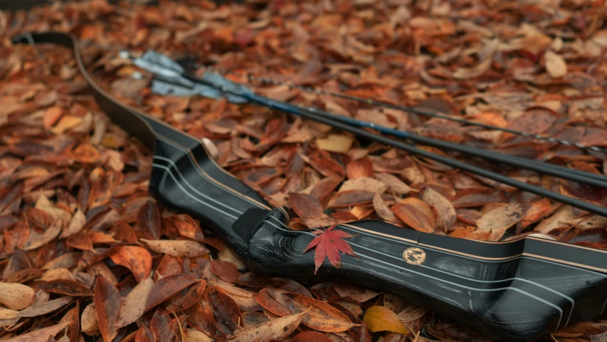 a black bow laying on top of a pile of brown leaves