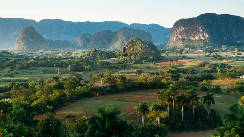 the mountainous view over the valley and trees