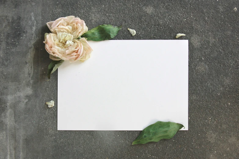 white paper with a flower placed on the ground