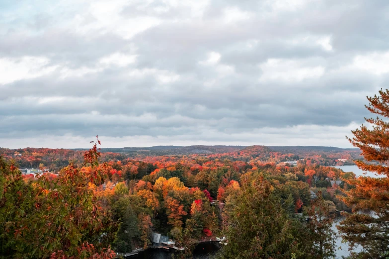 a beautiful view from a hill of trees on the ground