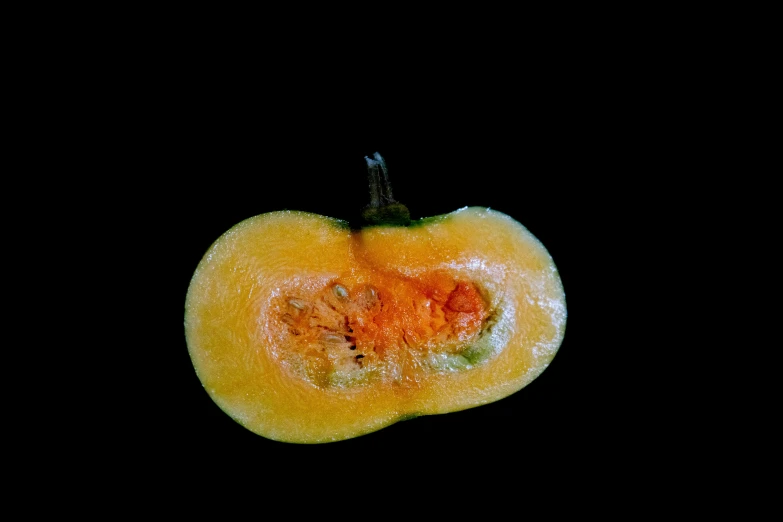 a yellow pepper is seen on black background