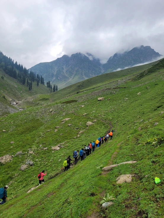 the line of hikers is starting up a green mountain slope