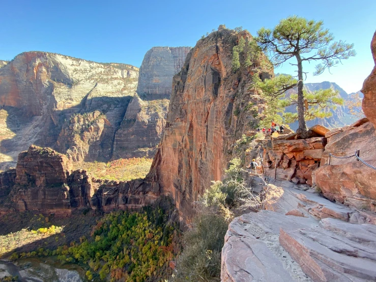 a view of the grand canyons of grand canyon national park from a point near a rocky cliff