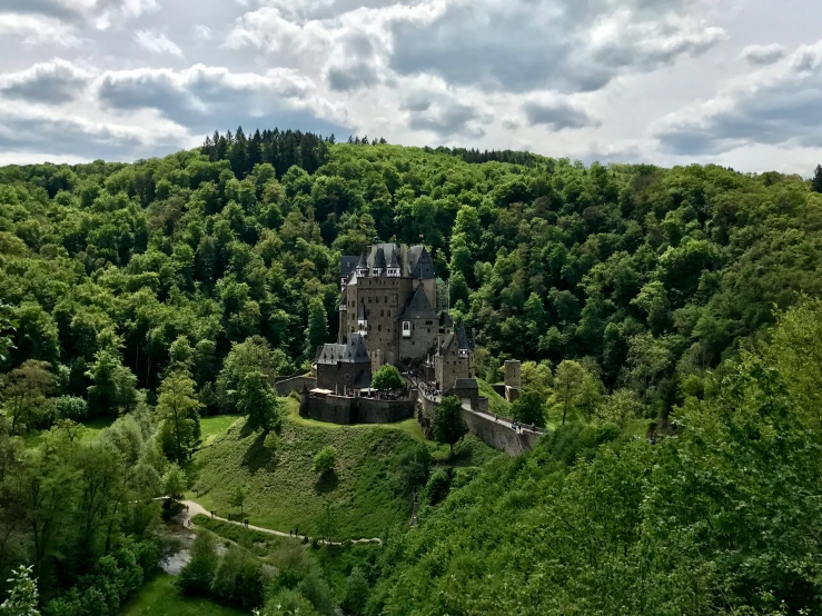 the castle is surrounded by greenery and on top of a hill
