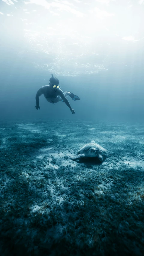 a person swimming over some rocks in the ocean