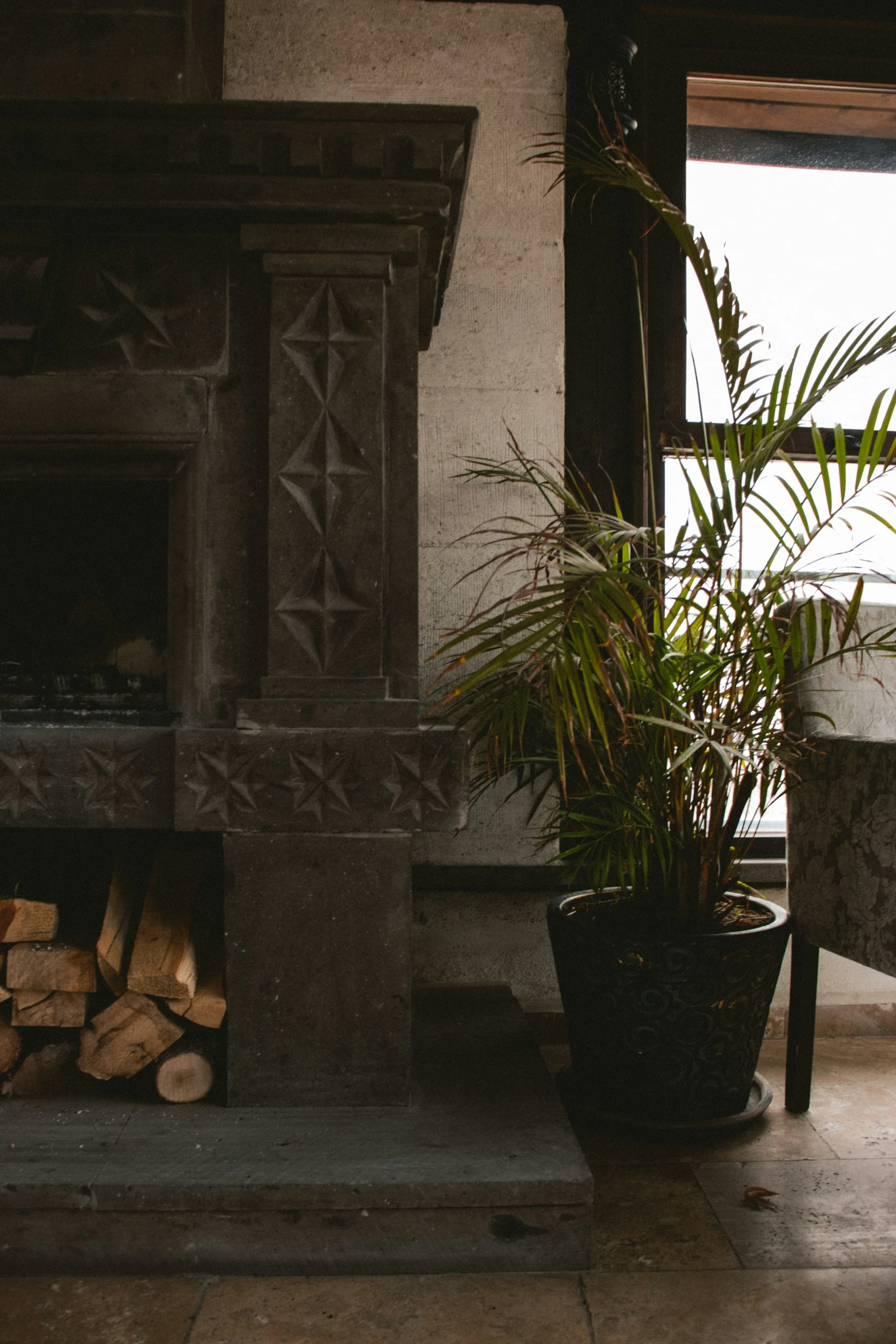 a living room with wood logs and a plant