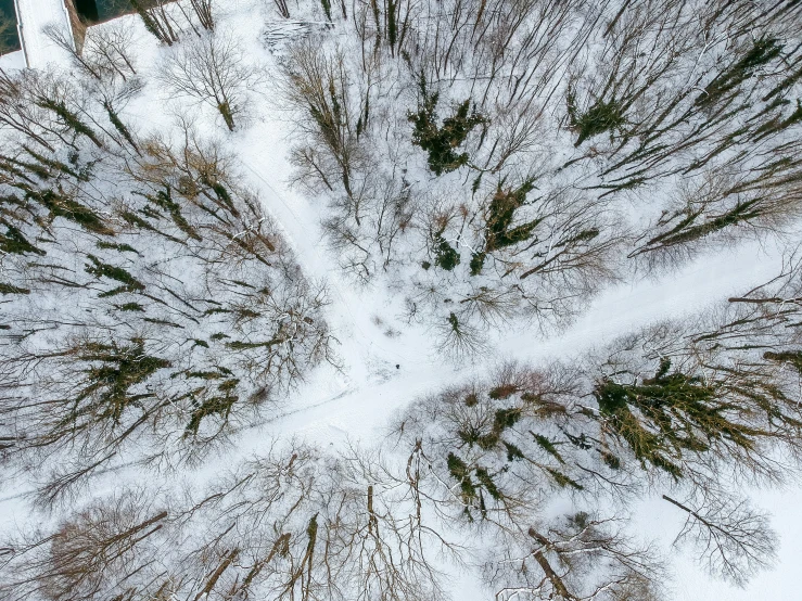 looking down at the ground with snow on it