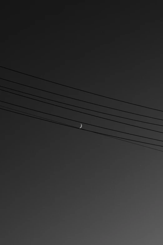 a black and white po shows a bird sitting on wires in the night sky