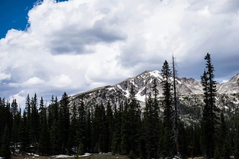 a mountain that has some tall pine trees near it