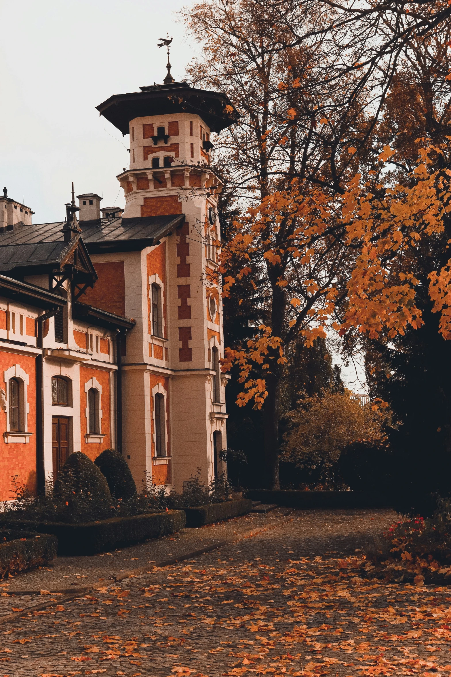 an old building sitting in front of a tree with leaves