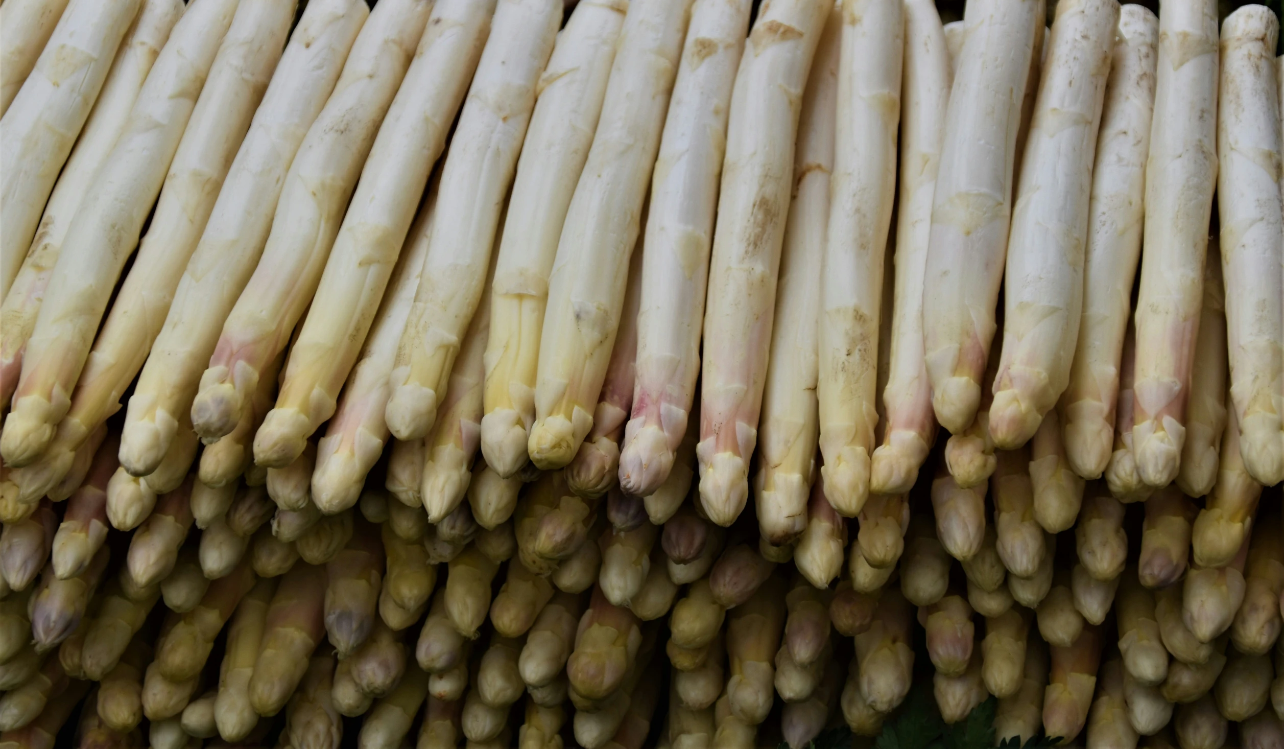 asparagus stalks and stalks are laid on top of each other