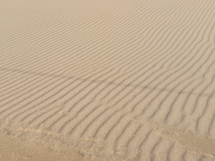 sand dunes with lines forming an upward bend